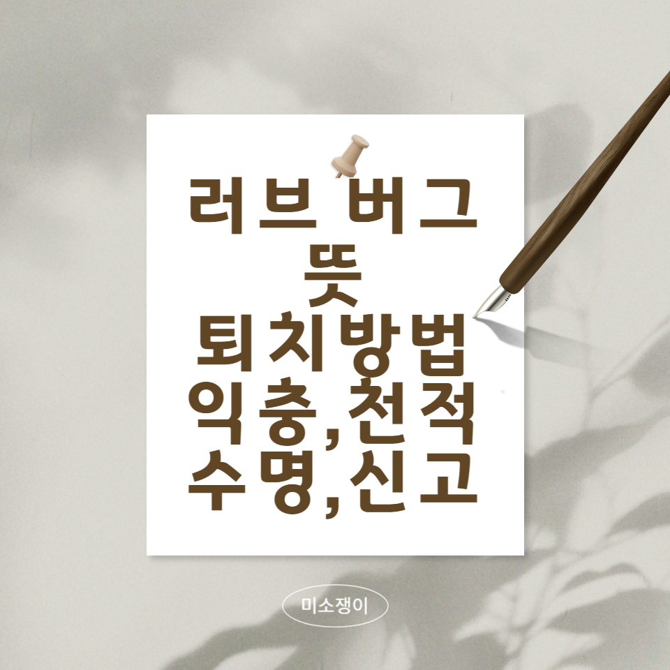 러브-버그-뜻,퇴치-방법,익충,천적,수명,신고-방법에-대한-문구