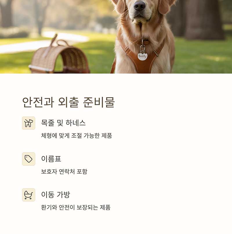 강아지 안전과 외출 준비물