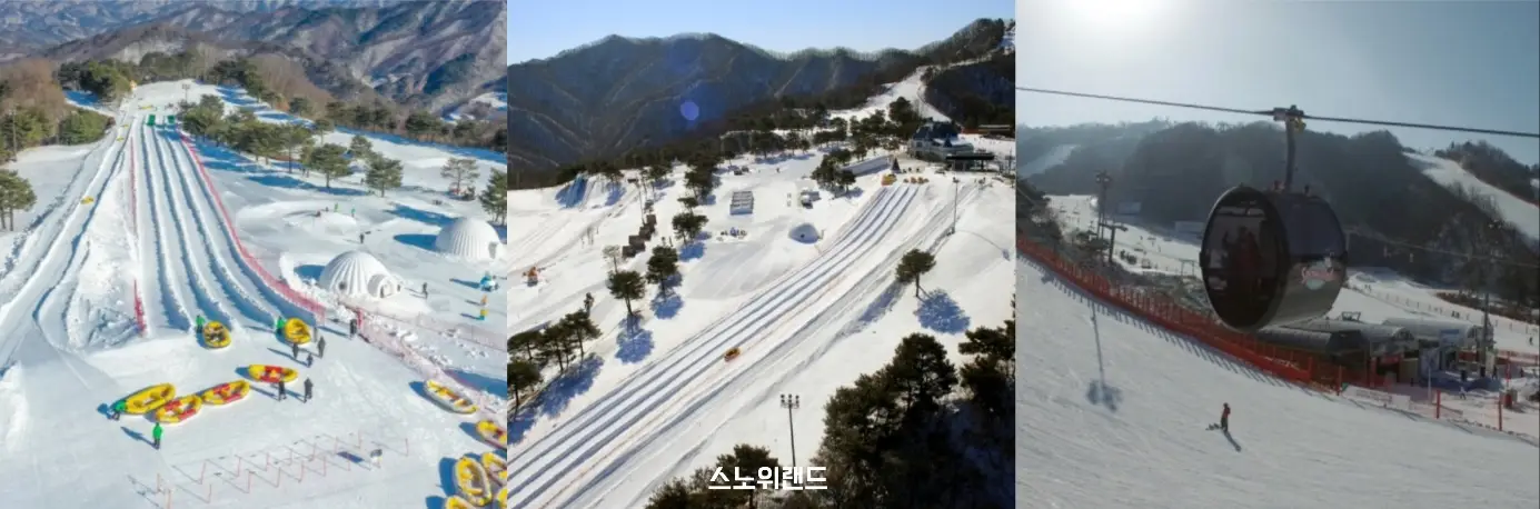 스노위랜드 사진