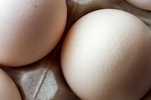 40대 여성 필수 영양제