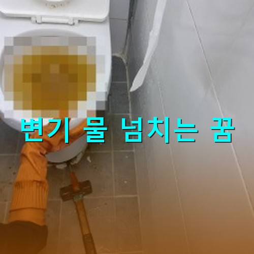 변기-물이-내려가지않아-넘쳐흘러-불쾌해-수리업체-불러-수리하는-모습
