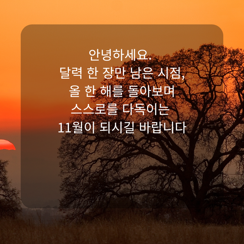 11월 인사말 문구 이미지 가을 겨울 인사글 모음집