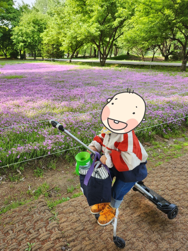 꽃잔디와 아이