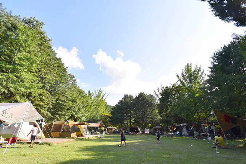 포천 캠프운악 캠핑장 소개