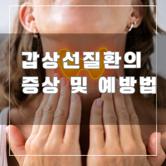 갑상선 질환의 증상 및 예방법