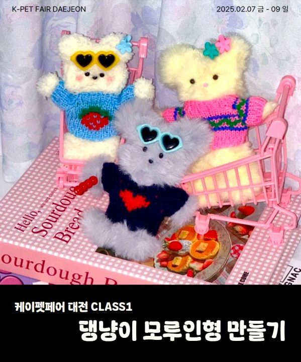 케이펫페어 체험클래스