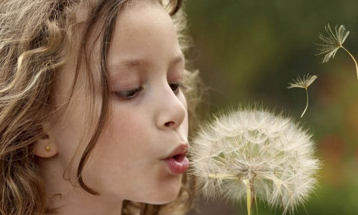 꽃가루 알레르기 증상 치료 예방법