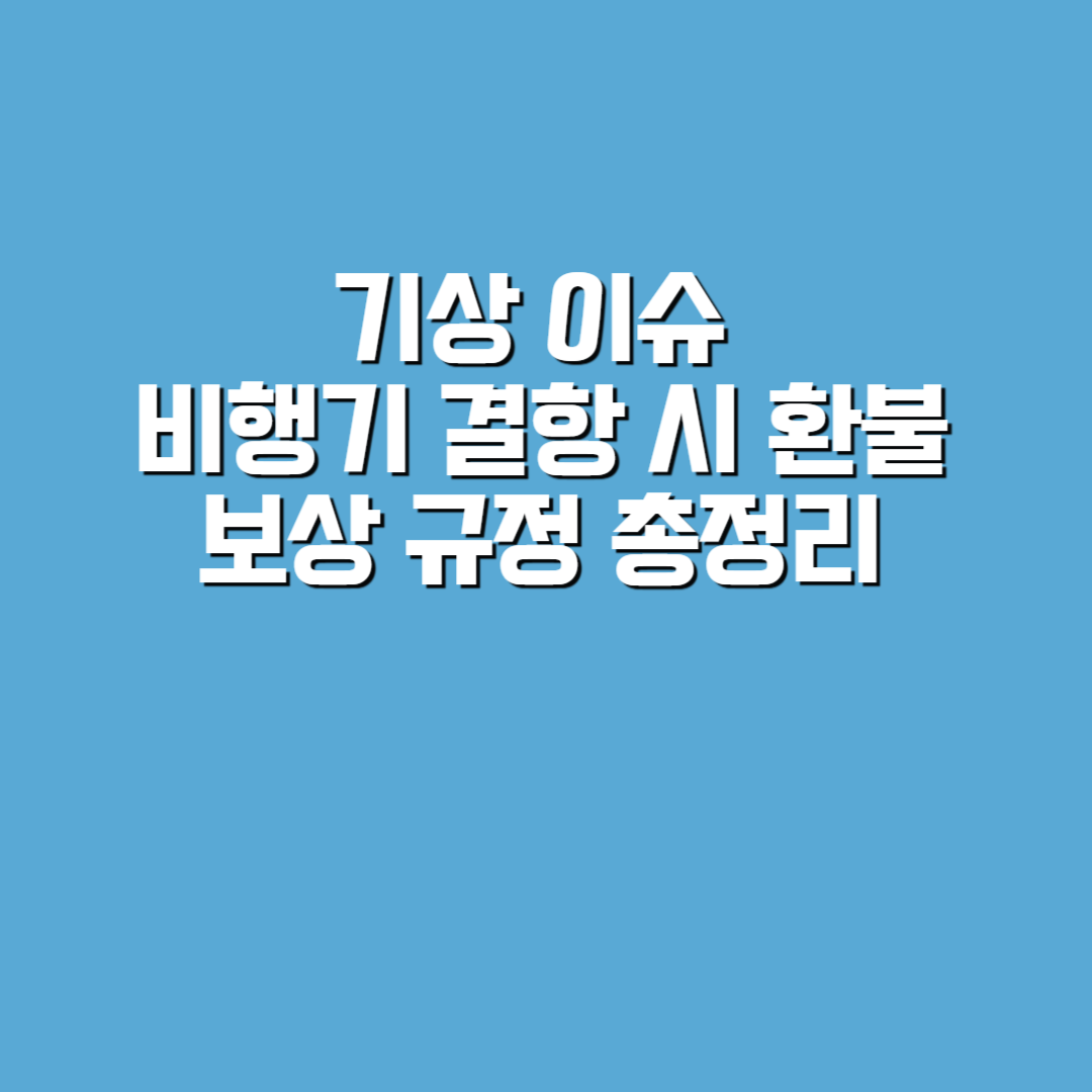 기상이슈로 인한 비행기 결항 시 환불 또는 보상을 받을 수 있는 항공사별 규정