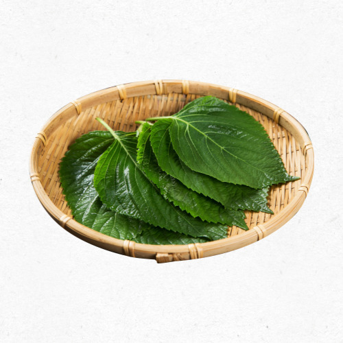 깻잎 영양소 분석