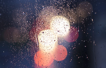 2025년 장마기간 바로 보기 20