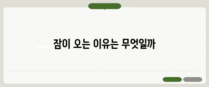 잠이 계속 오는 이유 수면 부족 vs 건강 문제