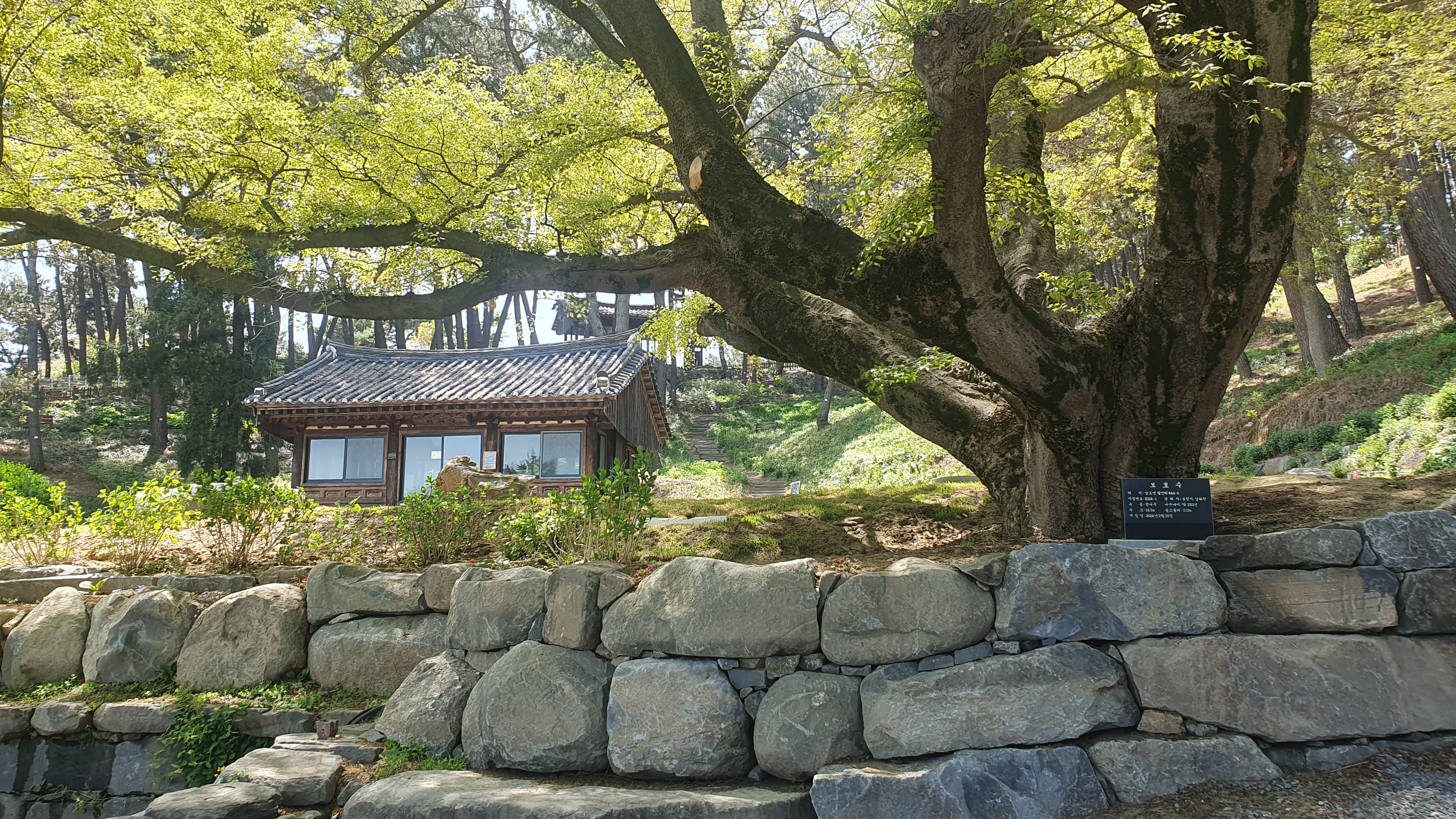 죽도 상화원