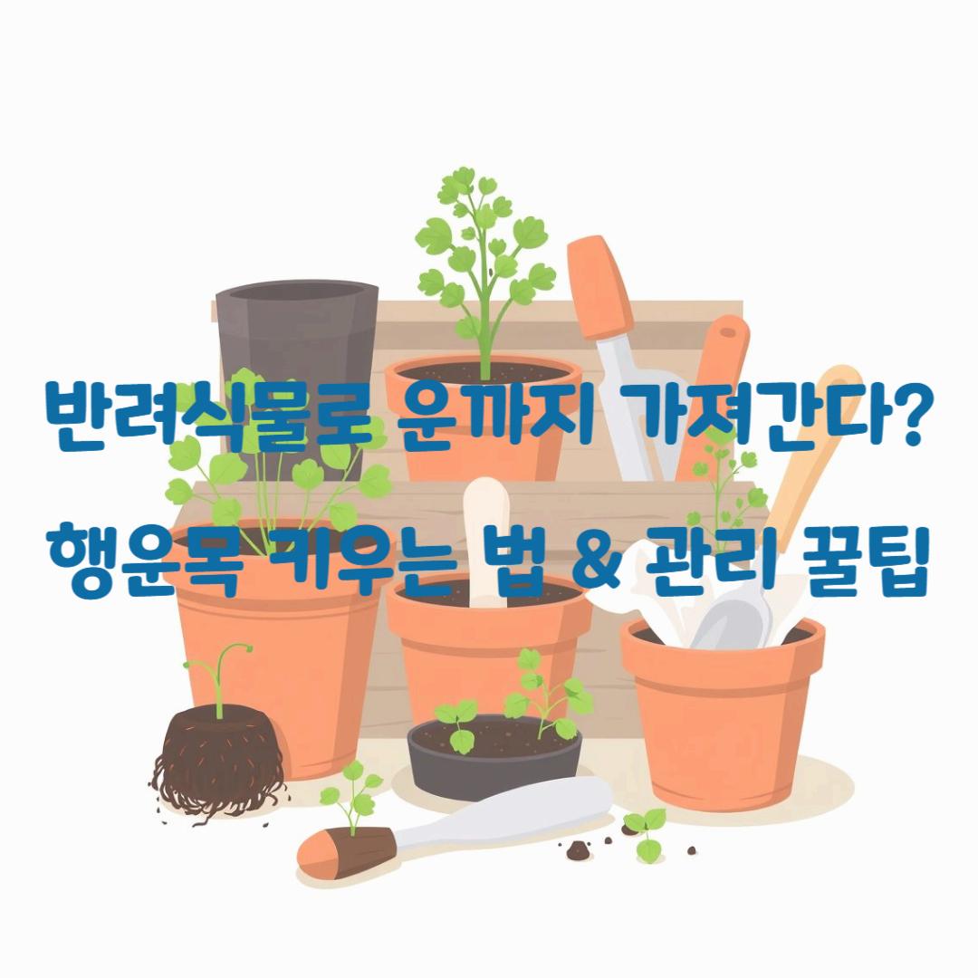 반려식물로 운까지 가져간다? 행운목 키우는 법 & 관리 꿀팁