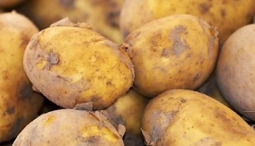 감자 꿈해몽 13가지 