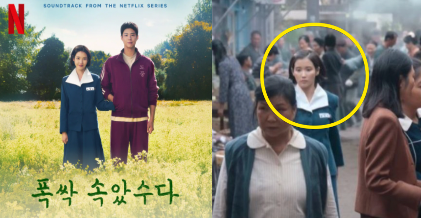 넷플릭스 ‘폭싹 속았수다’ 등장인물 완벽 정리! 캐릭터 분석 & 관계도