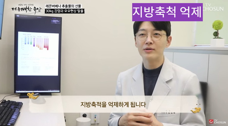 레몬버베나의 효능과 다이어트 효과