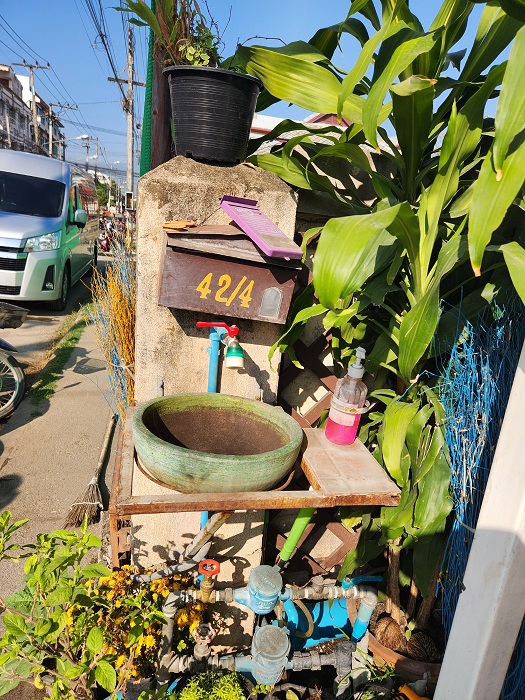코코넛쉘