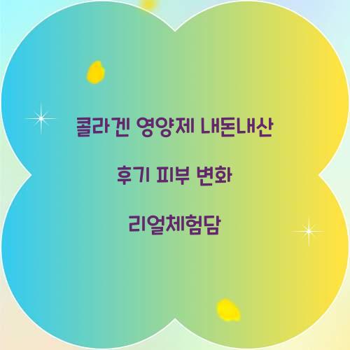 콜라겐 영양제 내돈내산