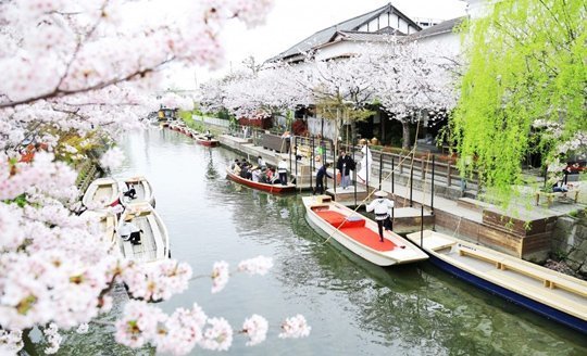 후쿠오카 자유여행 코스 추천 현지인 추천 후쿠오카 명소 여행