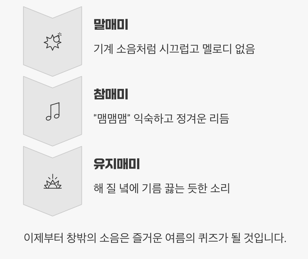 5. 1분 완성! 매미 소리 탐정 실전 팁
