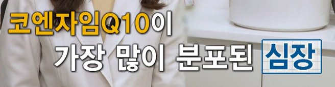 코엔자임q10