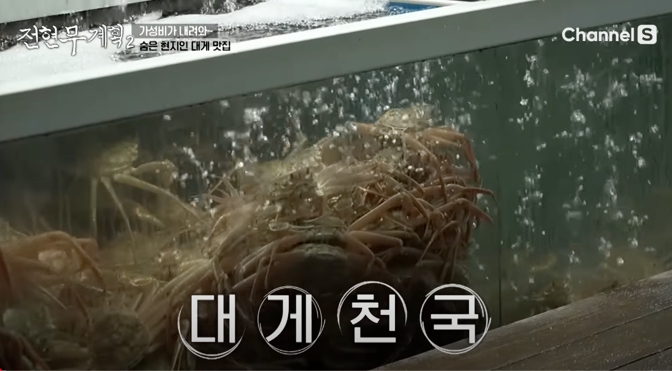 전현무계획2 영덕편 대게 기사식당 맛집 주소 위치 정보