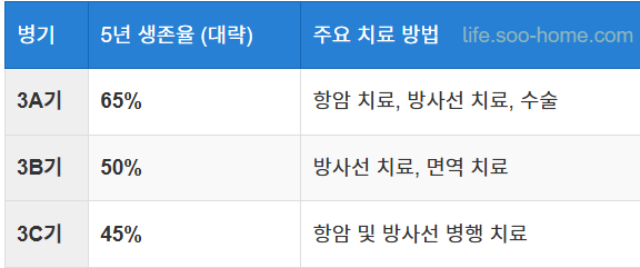유방암 3기 생존율 통계
