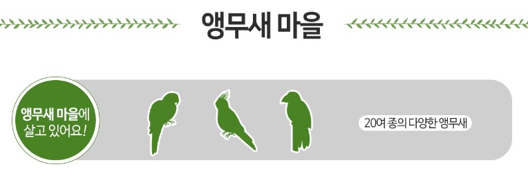 앵무새 마을 안내