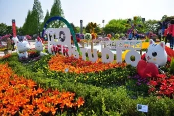 고양 꽃박람회 입장료 사전예약 가는길_17