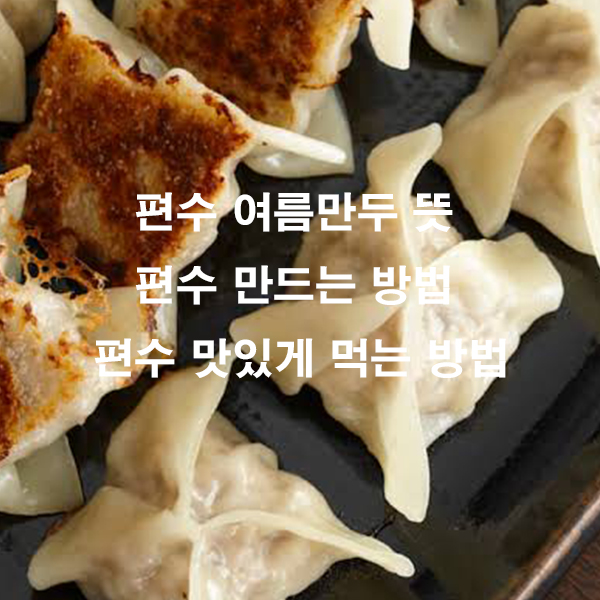 편수 여름만두 뜻 편수 만드는 방법 편수 맛있게 먹는 방법