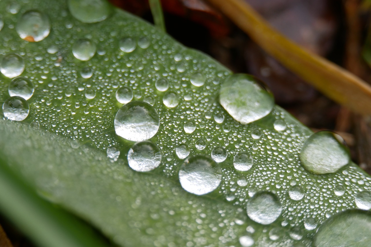 곰팡이 제거방법과 제거제 추천 총정리!