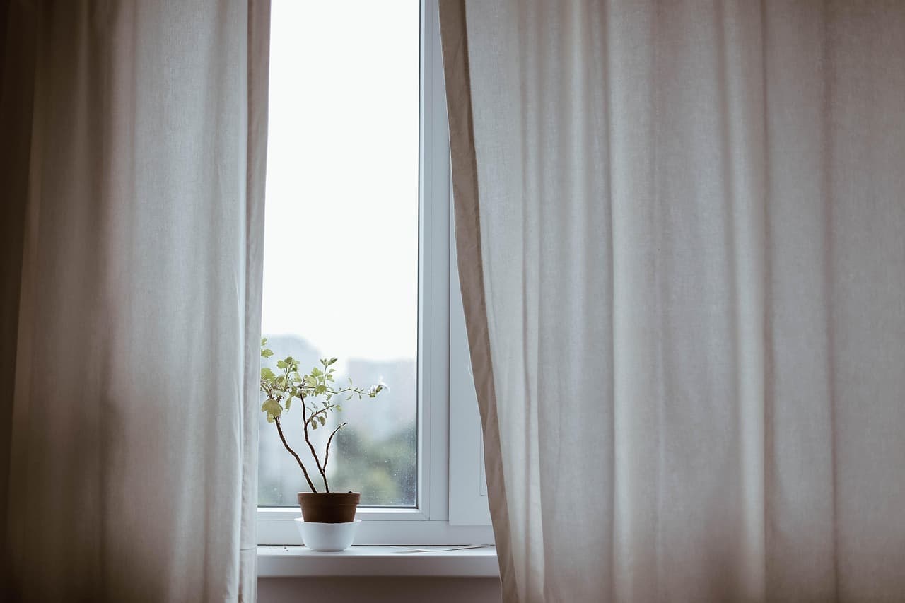 🌱 북향집 식물 살리는 반사판 설치법