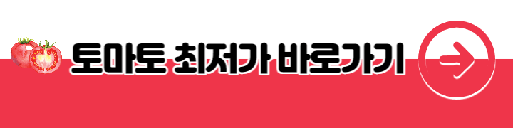토마토