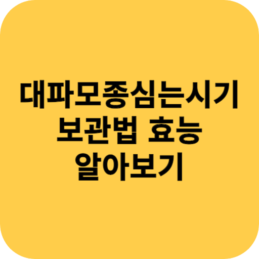 대파 모종 심는 시기 보관법 효능