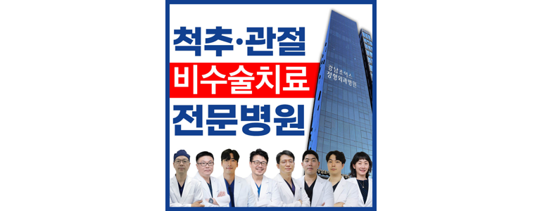 서울 강남구 정형외과