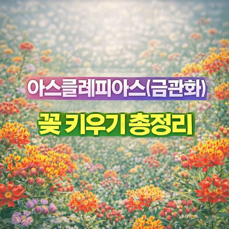 아스클레피아스(금관화) 키우기, 꽃말&middot;파종시기&middot;번식&middot;가지치기&middot;월동 썸네일