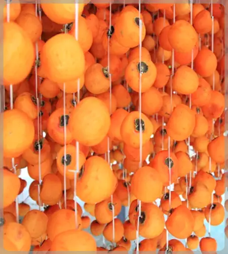 영동 곶감축제_2