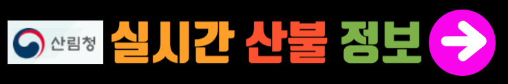 실시간 산불 정보 확인하기