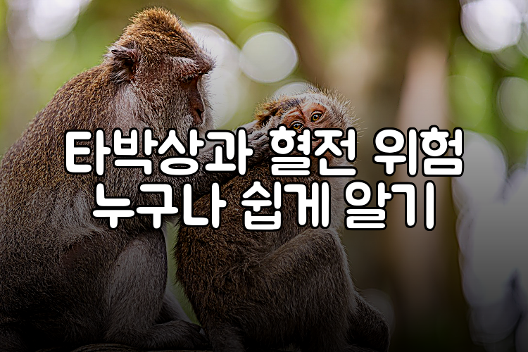 타박상과 혈전 위험 누구나 쉽게 알기