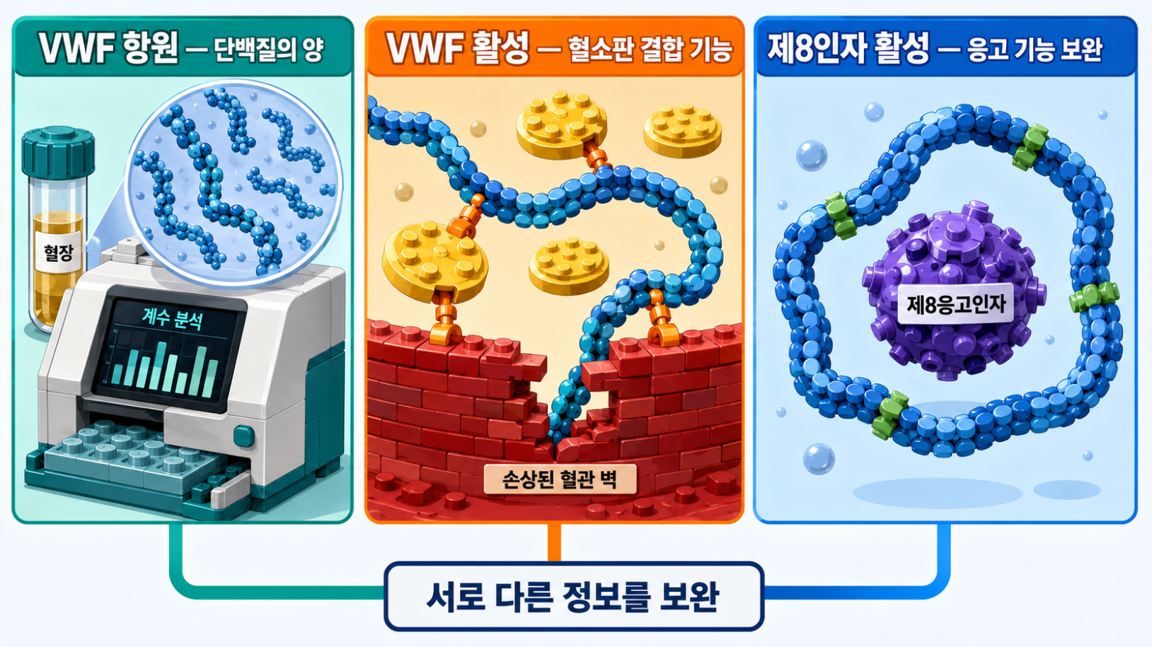 VWF 항원, VWF 활성, 제8인자 활성이 각각 무엇을 측정하는지 비교한 의료 인포그래픽