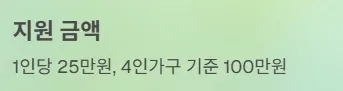 전국민 민생지원금 25만원 지원금액