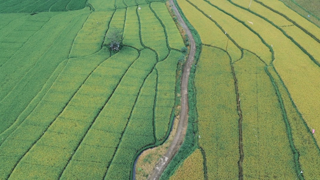 Land Use Planning