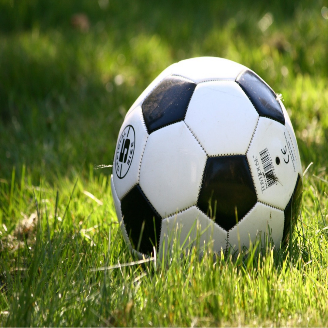축구공 사진