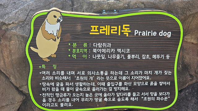 순천만국가정원 어린이 동물원 서문 순천여행 24년 11월 사진