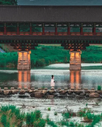 경주 가볼만한곳 베스트10 황리단길 대릉원 야경 산책로 추천_13