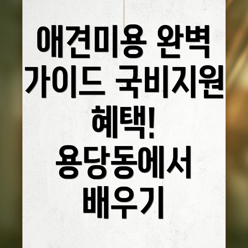 애견미용