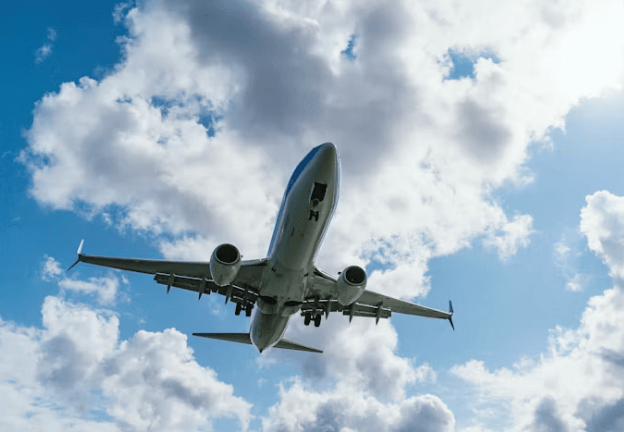 여권없을때 대처법