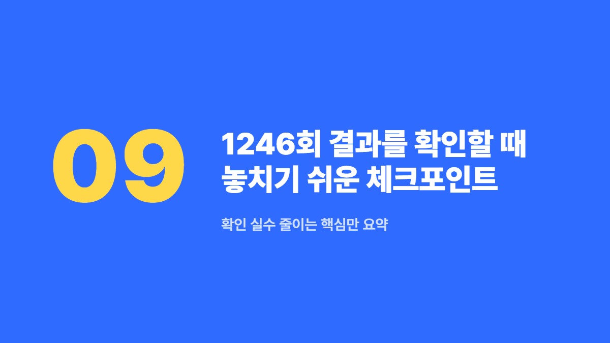 1246회 결과를 확인할 때 놓치기 쉬운 체크포인트 — 확인 실수 줄이는 핵심만 요약
