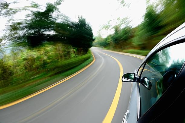 815-사면-대상자-확인