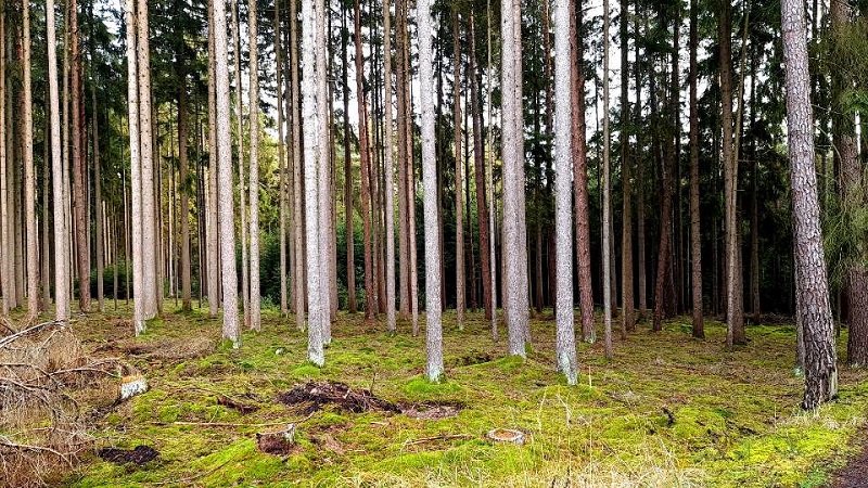 리액트 훅 모듈 사용